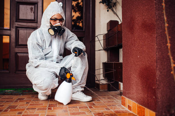 Reliable Bed Bug Control contractor in Lewisburg, WV by Nex Pest Control