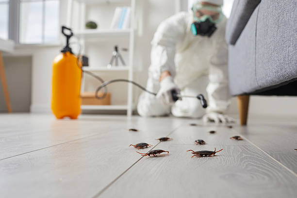 Trusted Mosquito Control service in Lewisburg, WV - Nex Pest Control